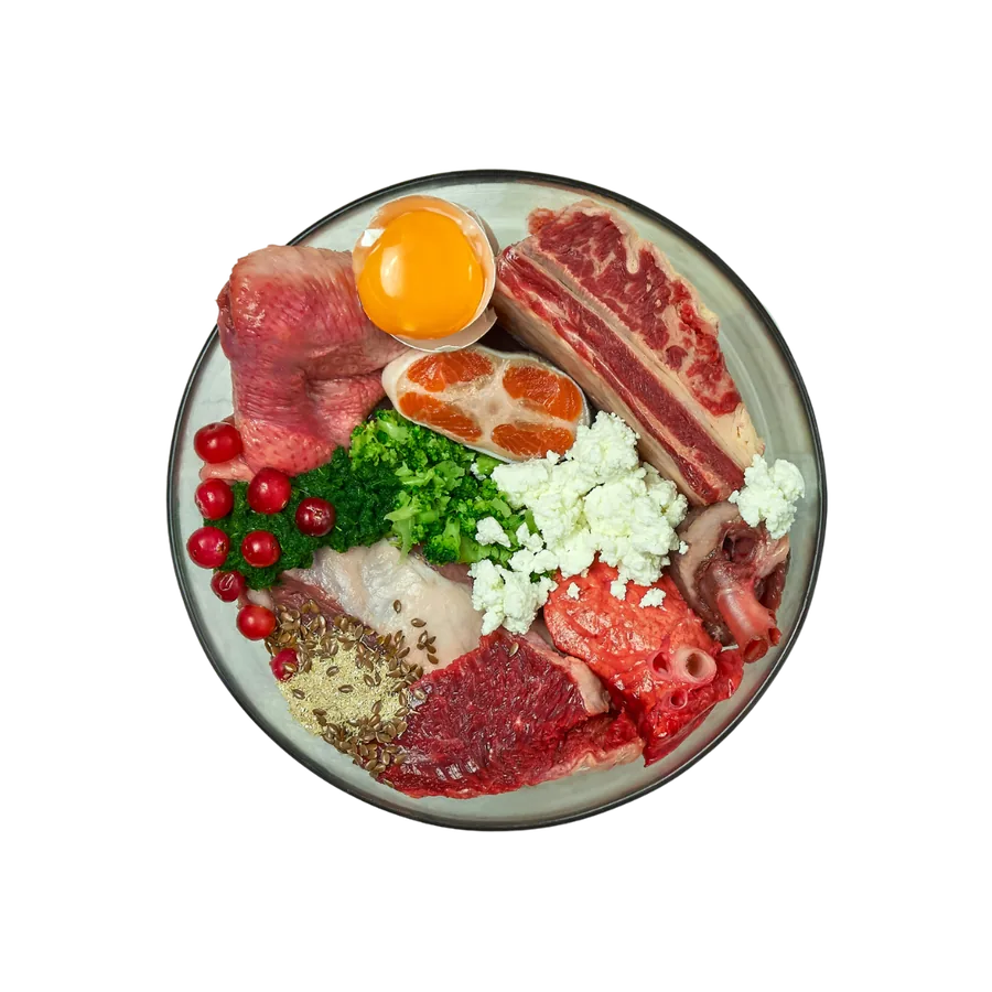 Teller mit frischem Fleisch, Gemüse und Obst für die Rohfütterung